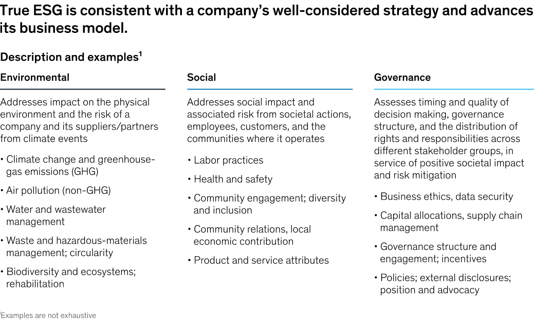 What is an ESG